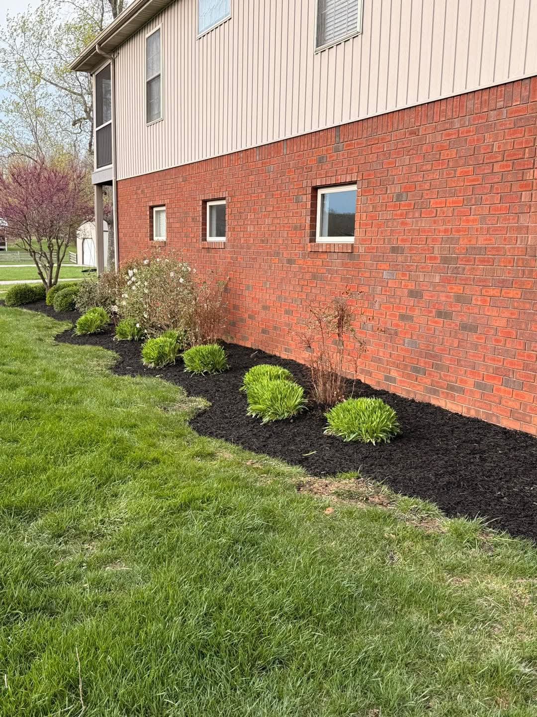 Landscape - Image 26