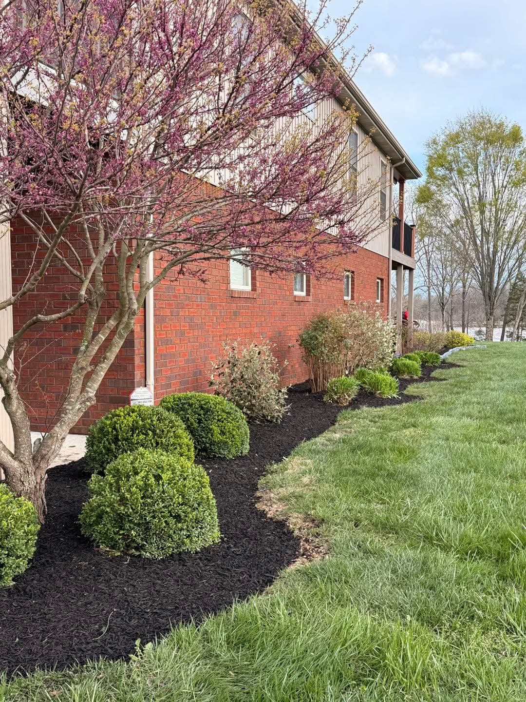 Landscape - Image 27