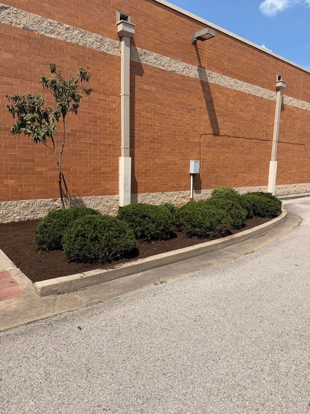 Landscape - Image 31