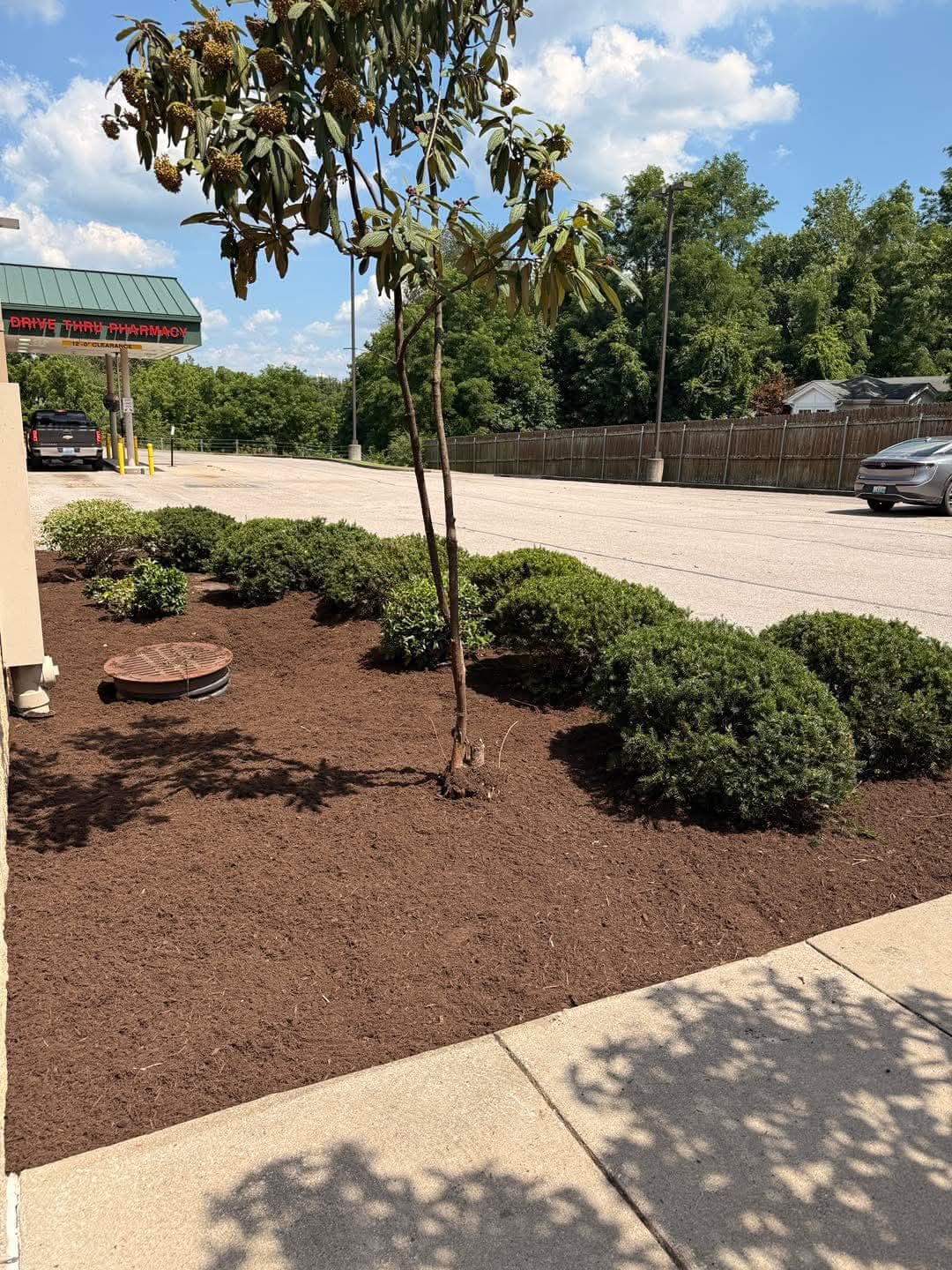 Landscape - Image 33