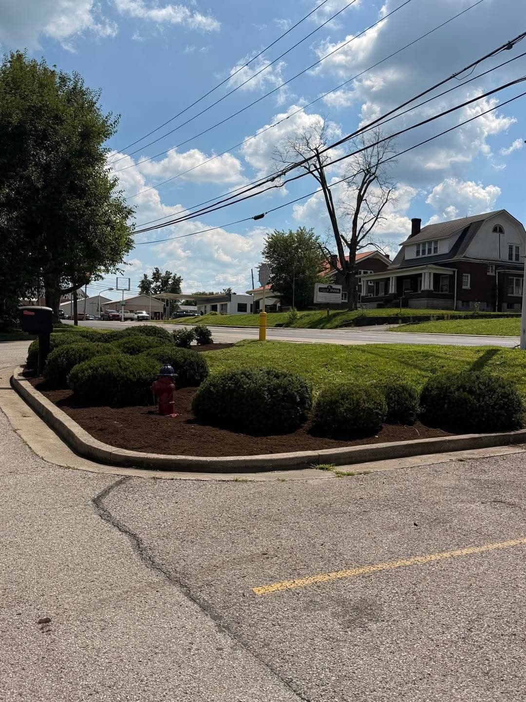 Landscape - Image 40