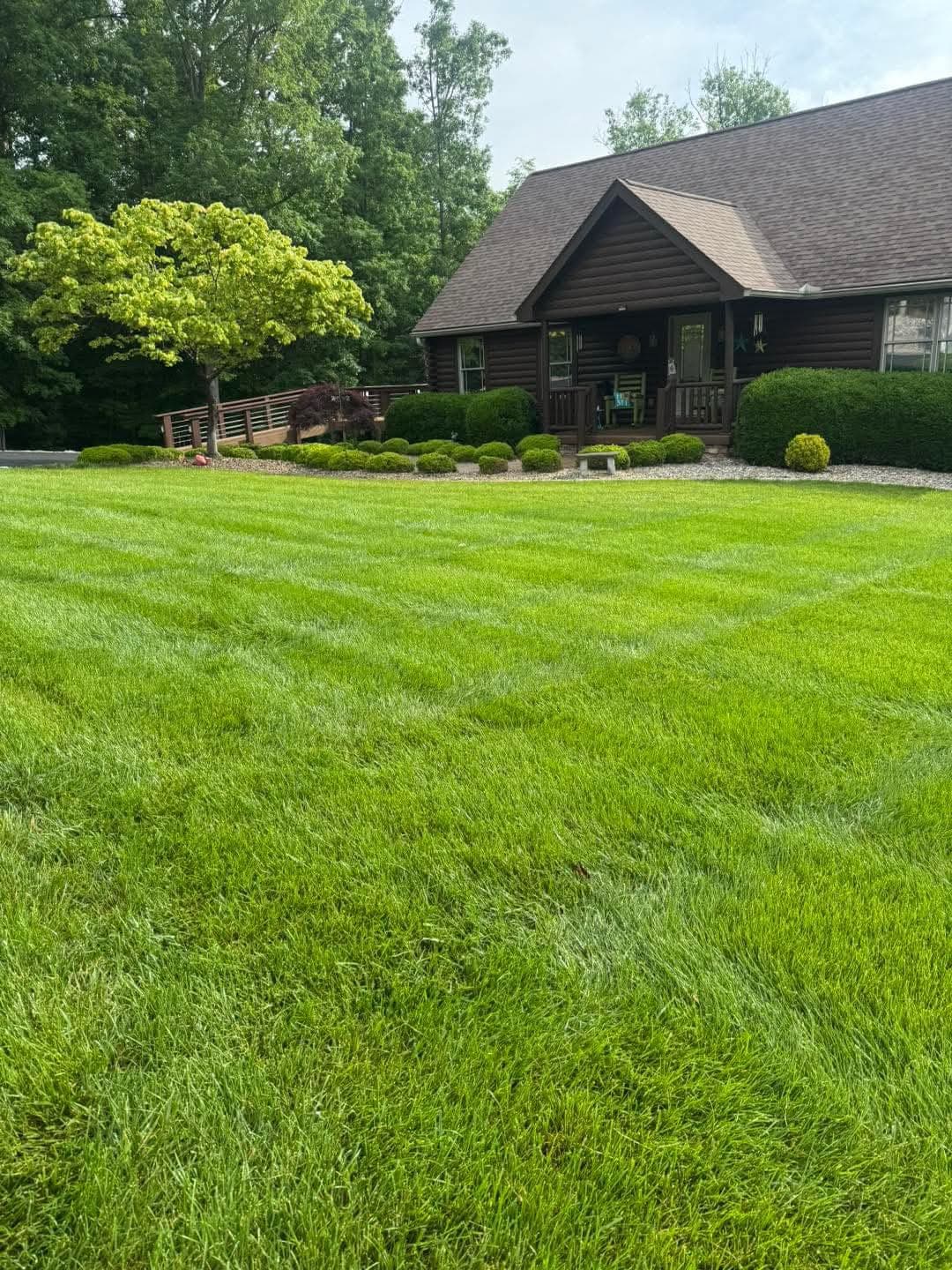 Landscape - Image 49