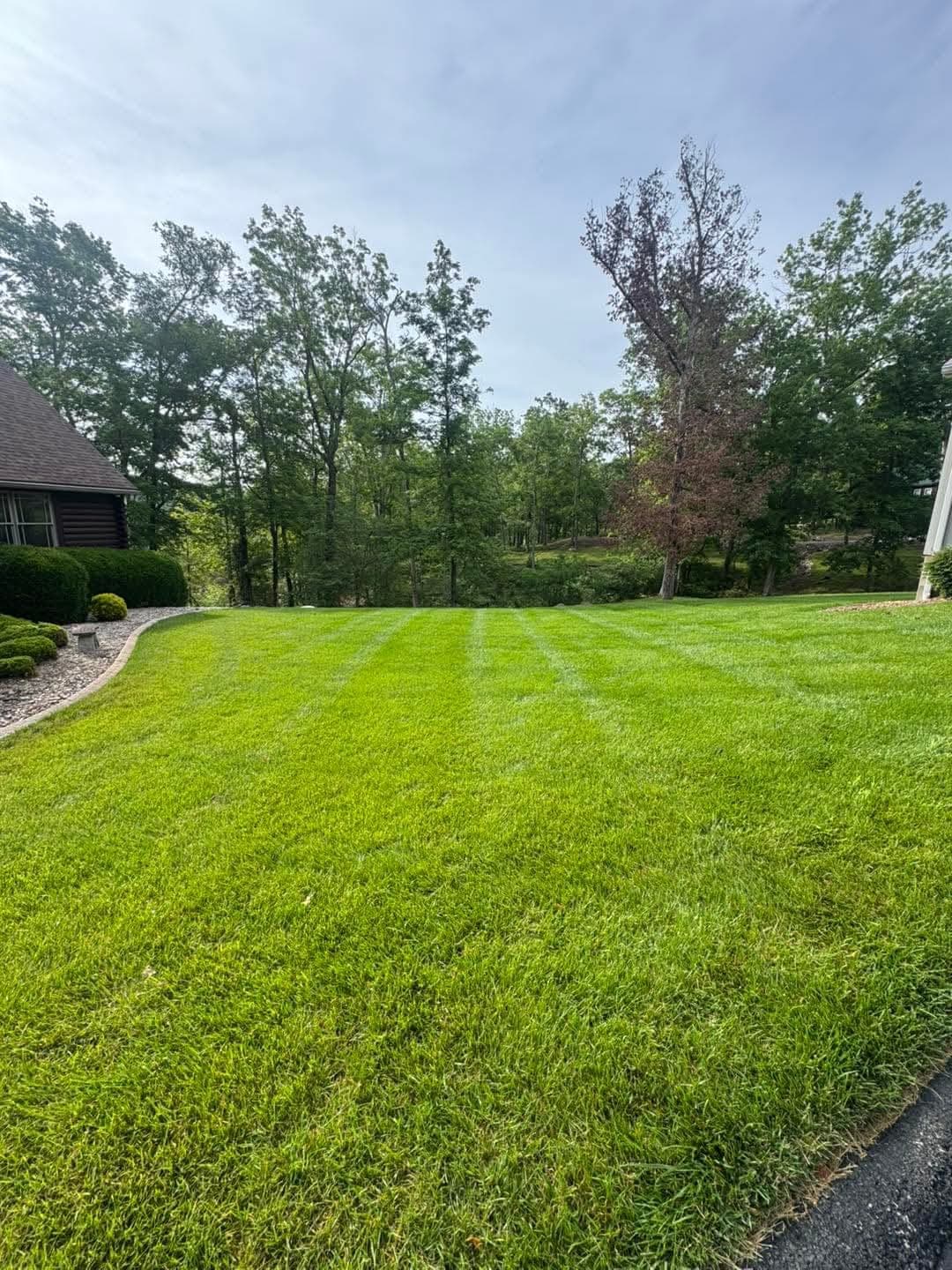 Landscape - Image 51